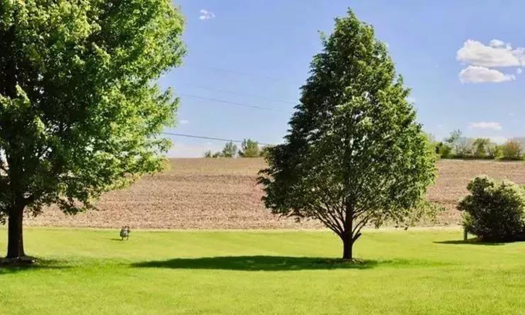 植樹節|守護綠色家園的秘密武器！
