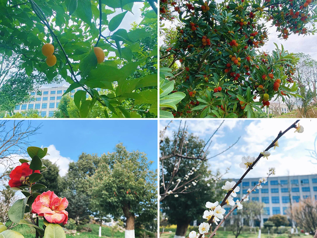 植樹節|守護綠色家園的秘密武器！