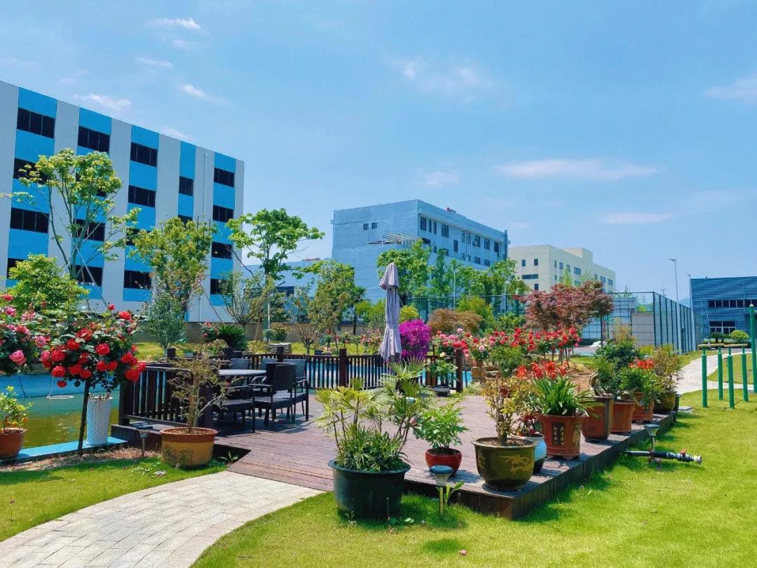 風(fēng)景這邊獨好！東大環(huán)境美景一覽，請查收