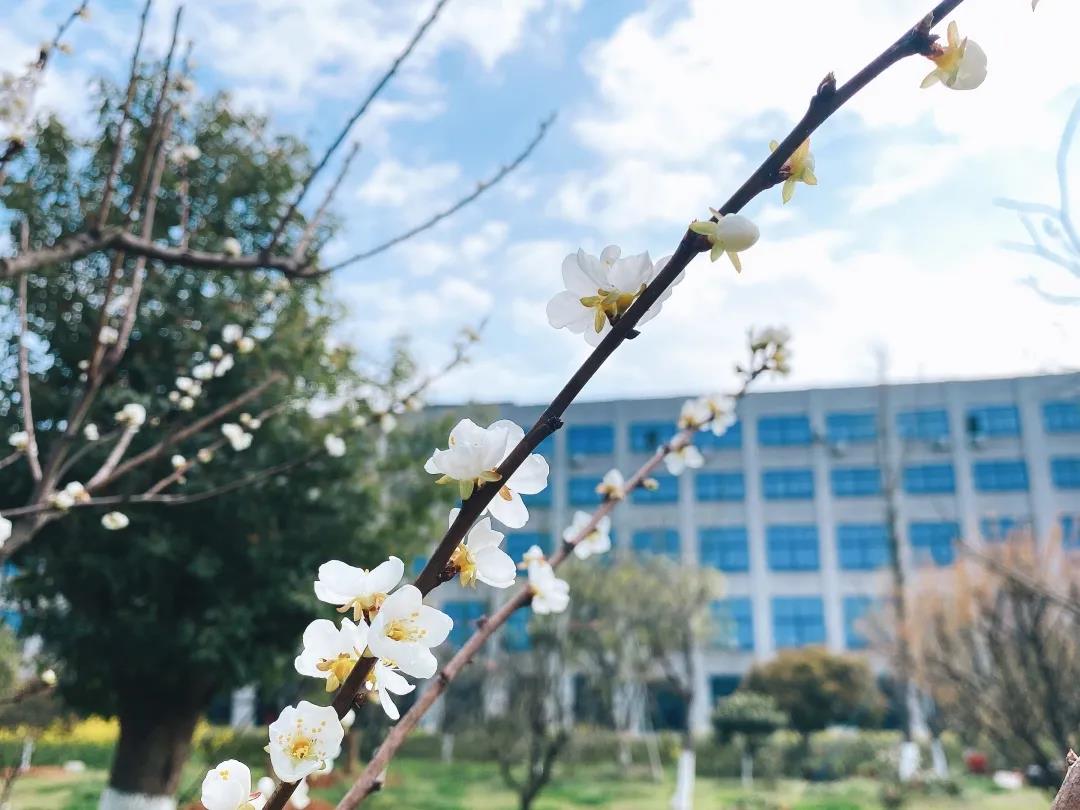 風(fēng)景這邊獨好！東大環(huán)境美景一覽，請查收